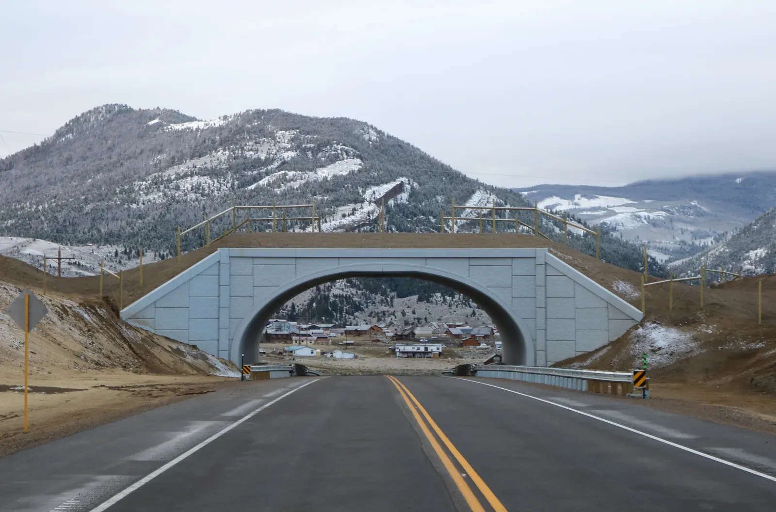 Giving Migratory Animals Their Routes Back (By Jeffrey Beall, CC BY 4.0)