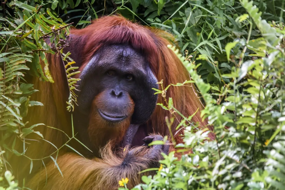 Planning Ahead: What This Says About Animal Minds (Image Credits: Unsplash)