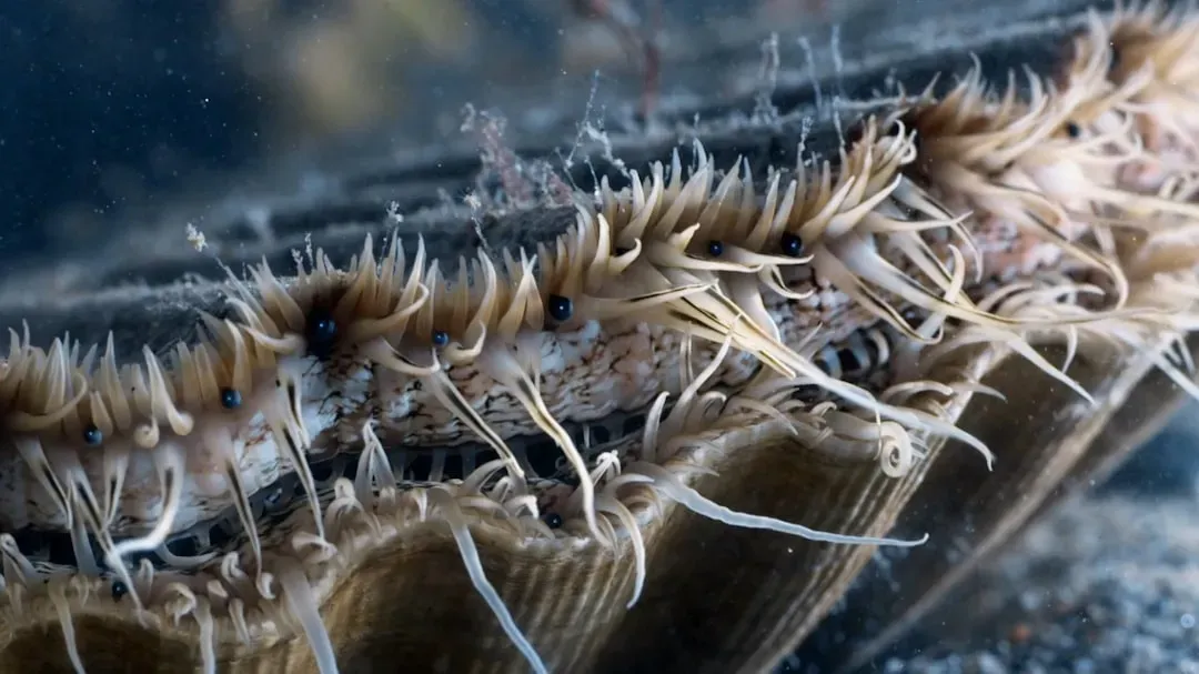 Tubeworms and Deep Trench Communities: Life Without Sunlight (Image Credits: Unsplash)