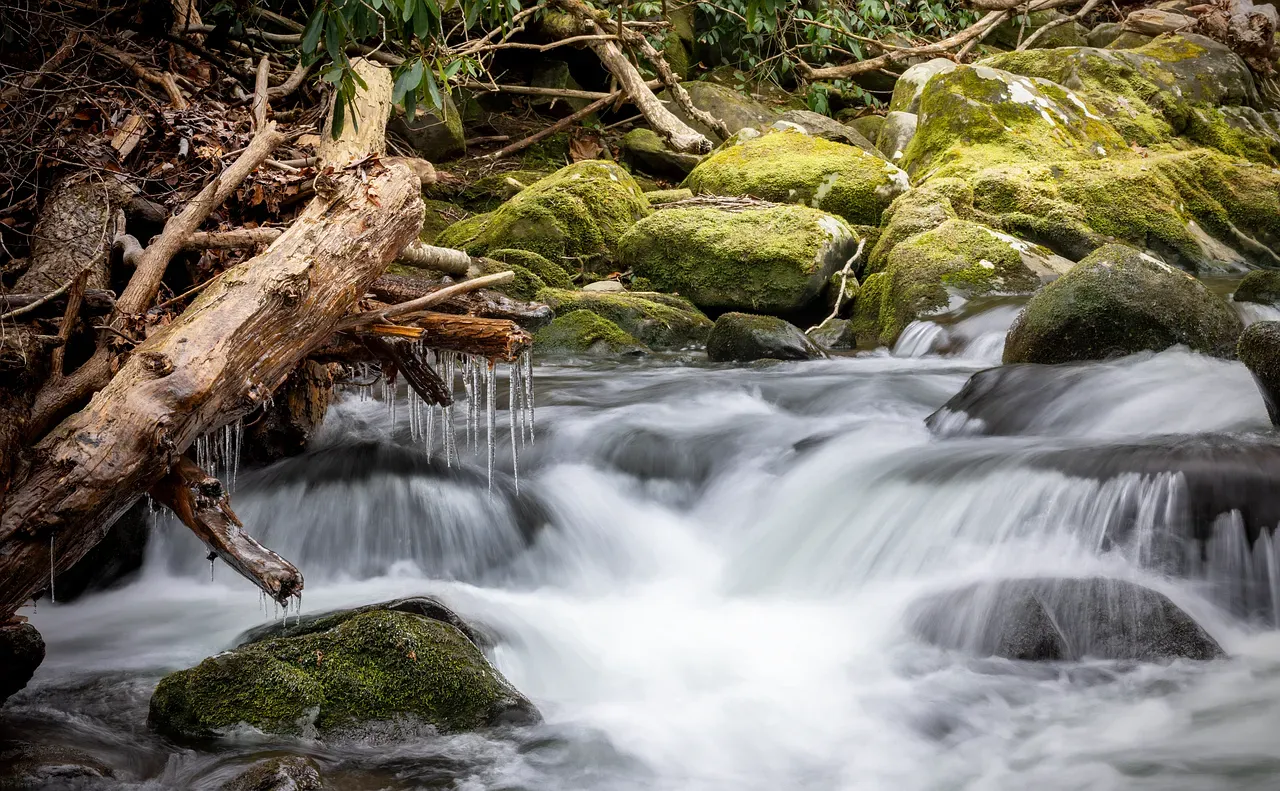 Trophic Cascades in Action (Image Credits: Pixabay)