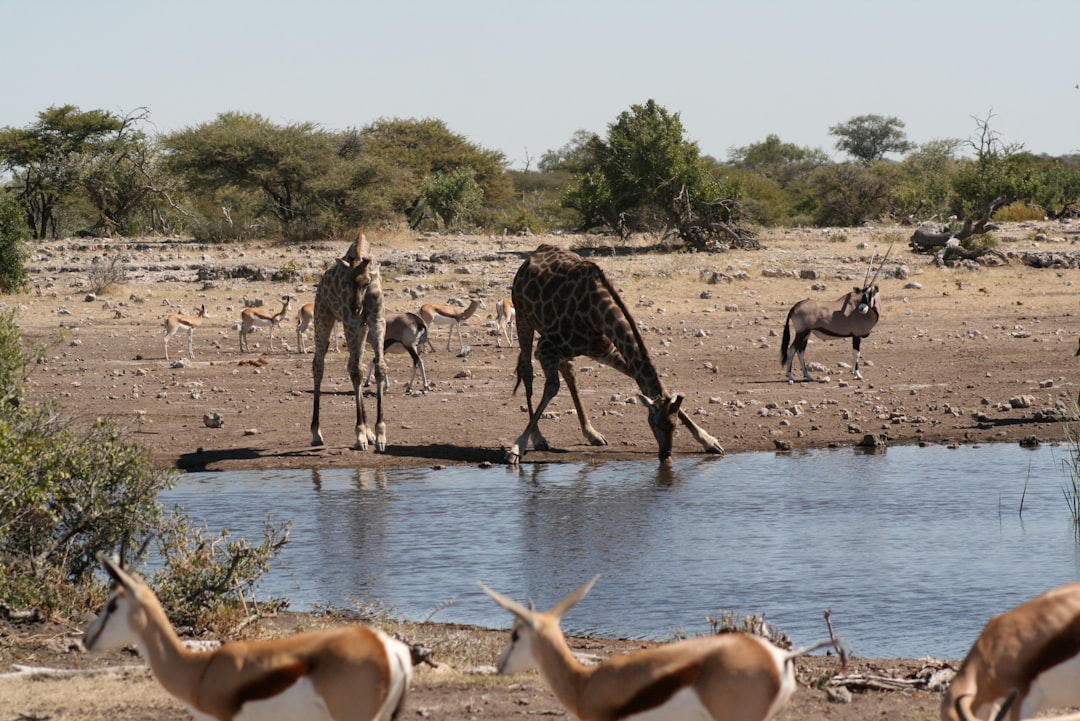 The Water Crisis You Can't Escape (Image Credits: Unsplash)