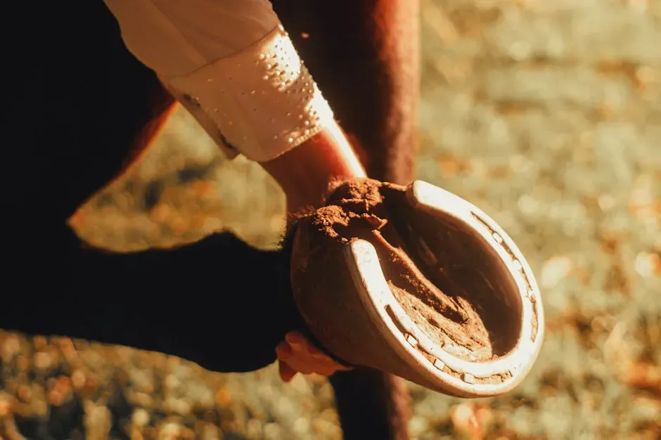 #2 – Neglecting Hoof Care During Seasonal Transitions (Image Credits: Pexels)