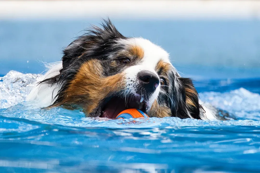 5 - Know How to Respond to Heatstroke (Image Credits: Unsplash)