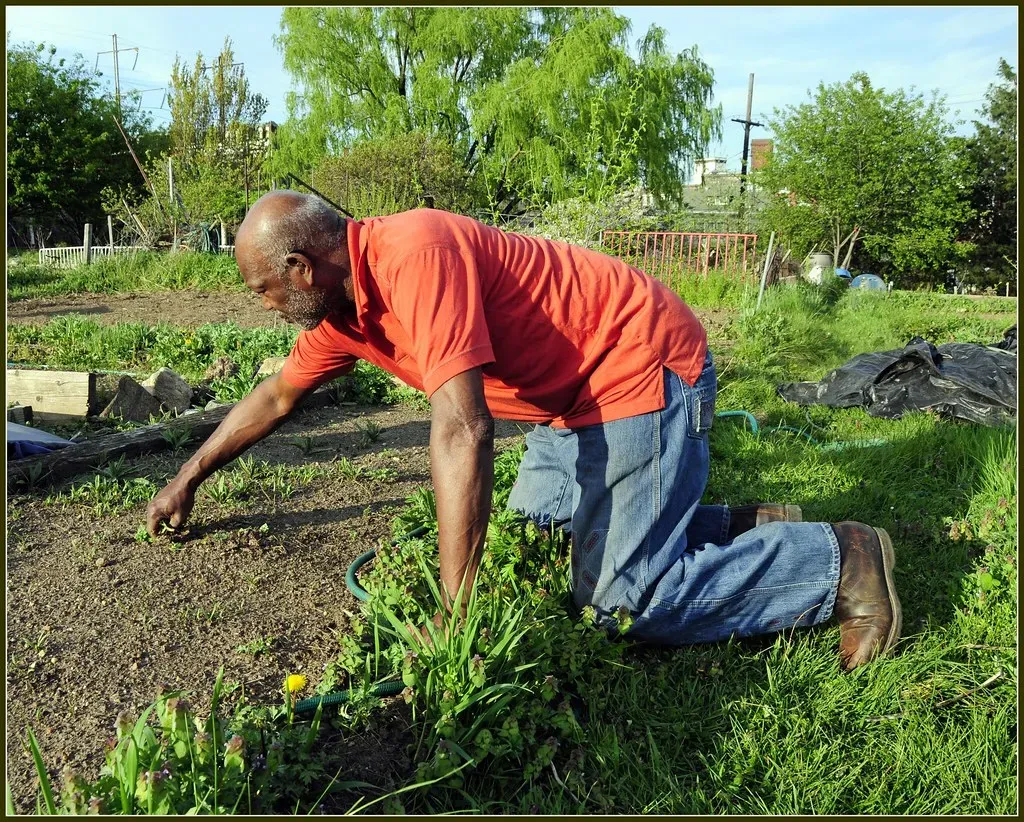 Conclusion: The Garden Is Simpler Than You Think (Tony Fischer Photography, Flickr, CC BY 2.0)