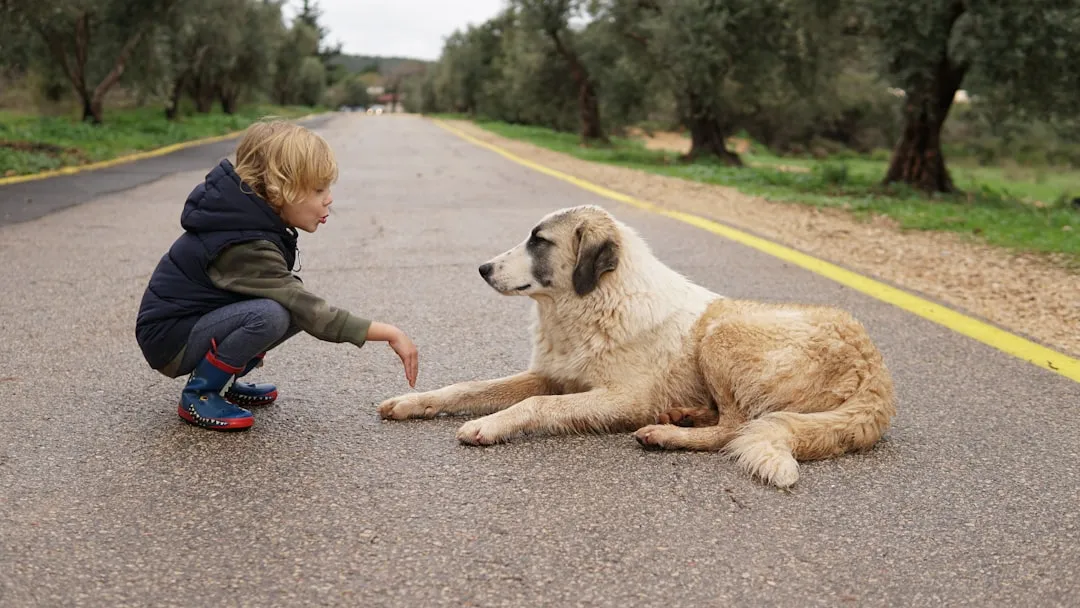 #10 - Letting Kids "Climb All Over" the Dog (Image Credits: Unsplash)