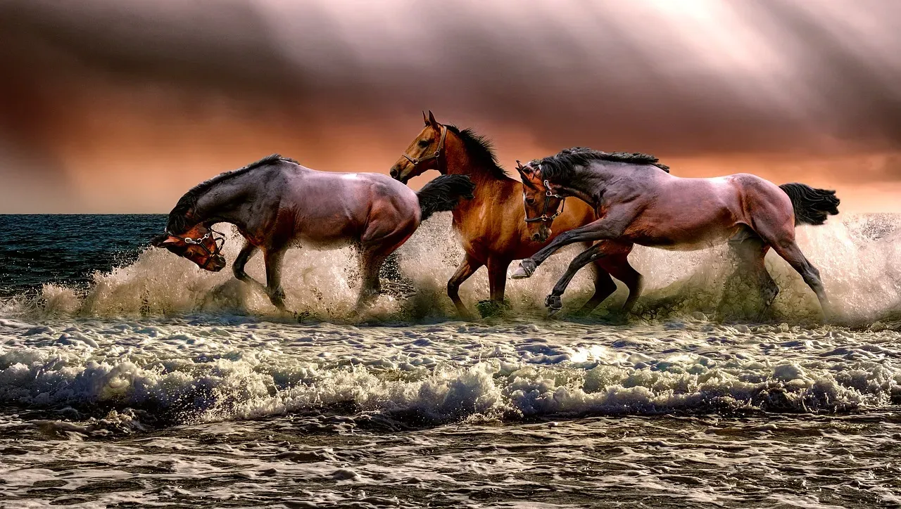 Sagittarius: The Reckless Wild Horse (Image Credits: Pixabay)