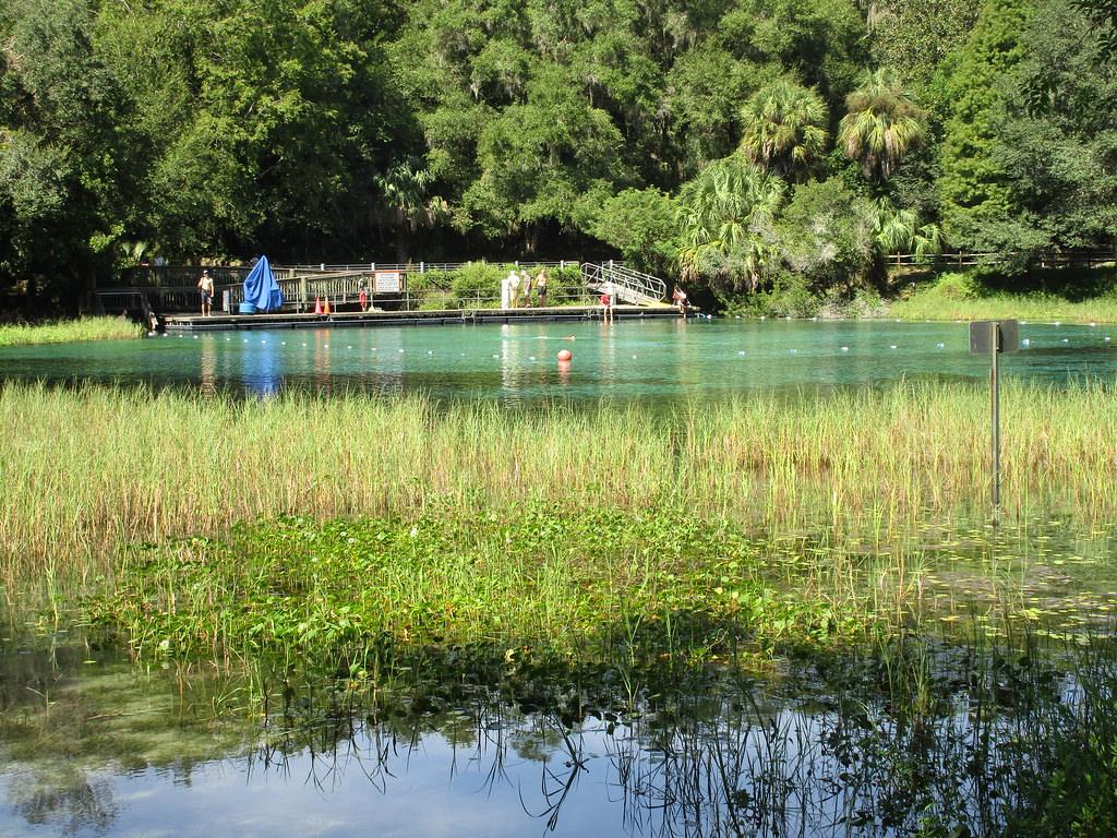 Rainbow Springs State Park: A Natural Wonderland in Marion County (Image Credits: Flickr)