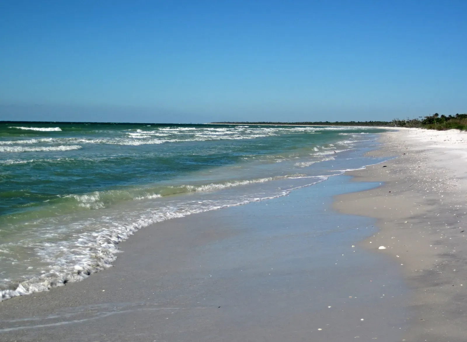 Barrier Islands: The Coast's First Line of Defense (Marine shoreline of Cayo Costa Island (Gulf of Mexico coast of Florida, USA), CC BY 2.0)
