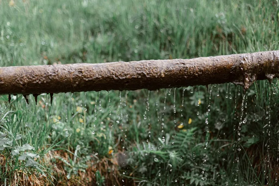 2. Ignoring Leaks, Drips, And Condensation (Image Credits: Pexels)