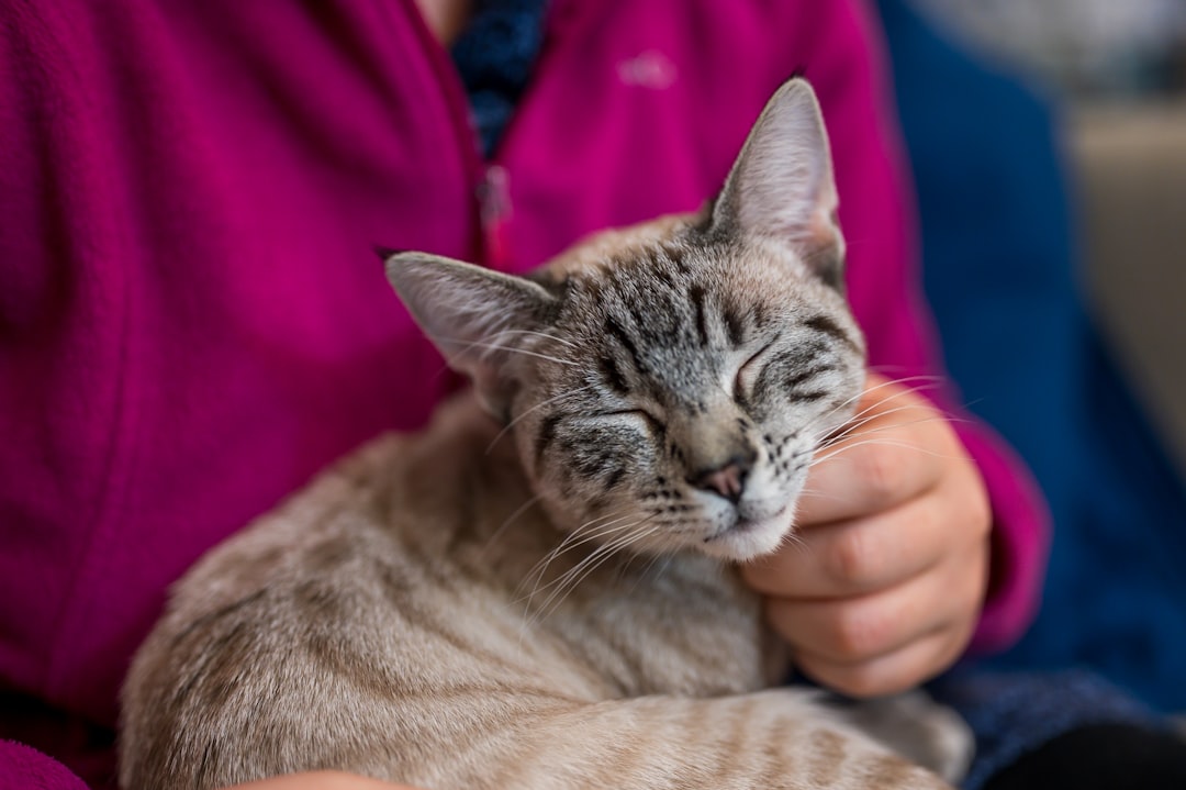 The Chemistry of Cat Love (Image Credits: Unsplash)