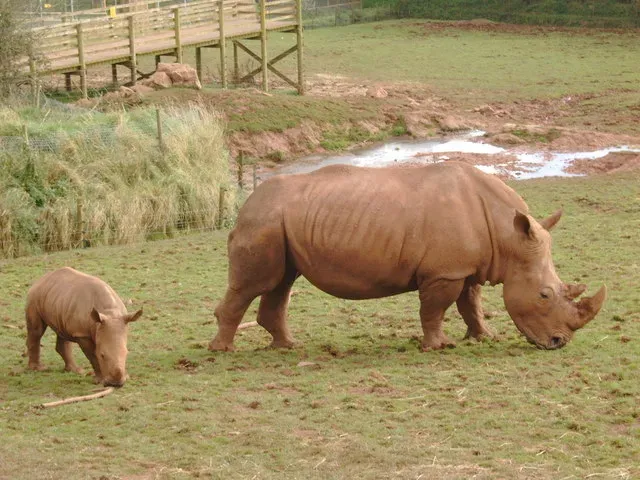 The Unbreakable Thread of Motherhood (From geograph.org.uk, CC BY-SA 2.0)