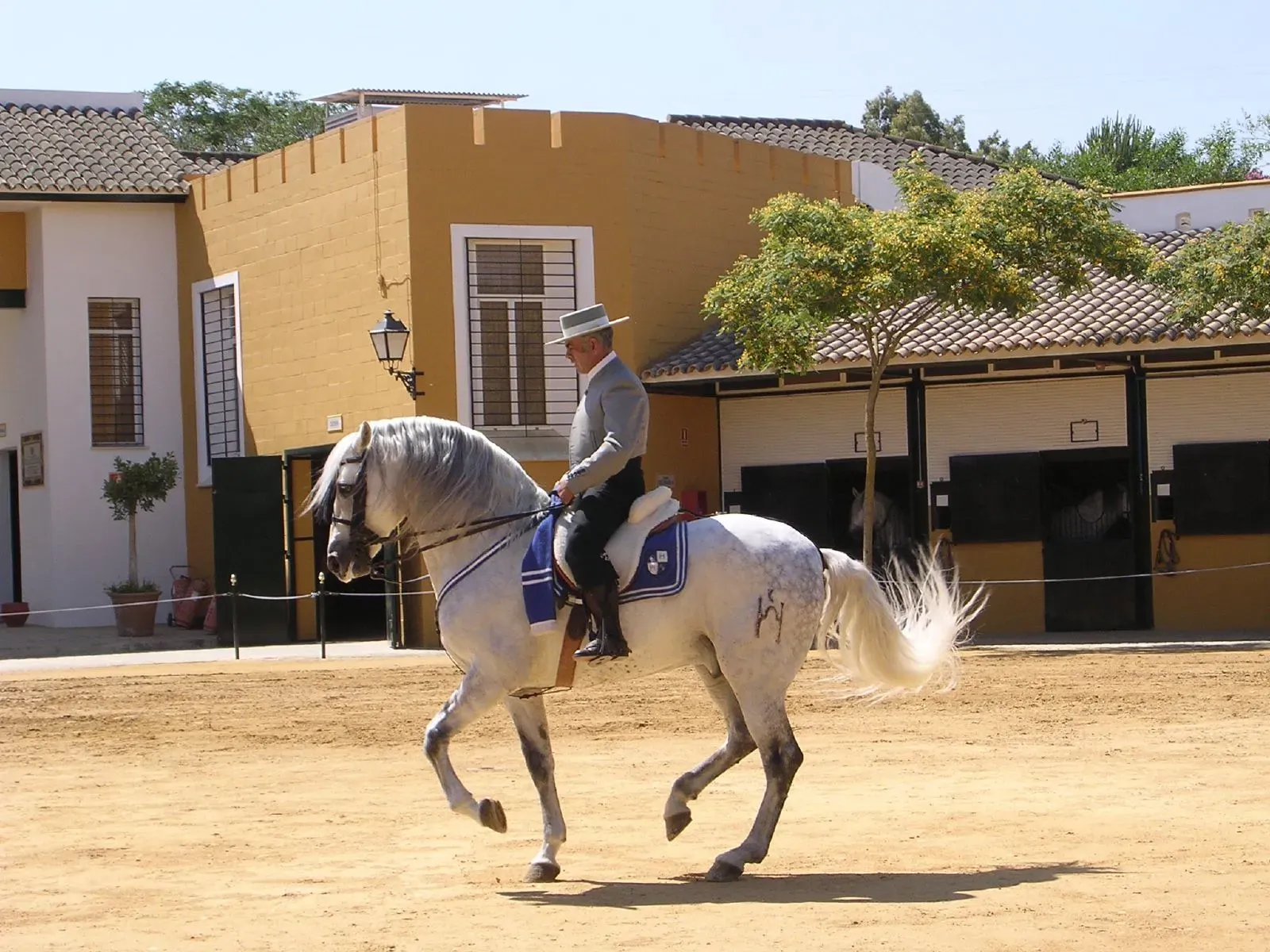 Carthusian Horse (Image Credits: Wikimedia)
