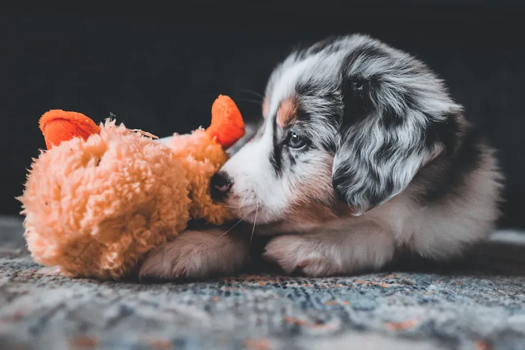 Appreciating the Quiet Intelligence Behind the Gesture (Image Credits: Unsplash)