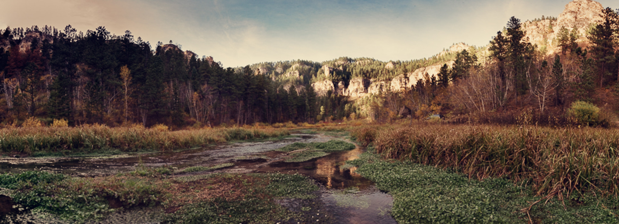 Spearfish Canyon (Image Credits: Wikimedia)
