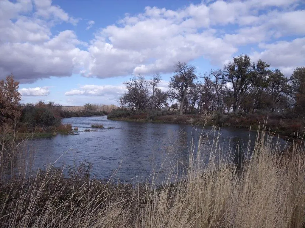Bighorn River, Montana and Wyoming (Image Credits: Wikimedia)