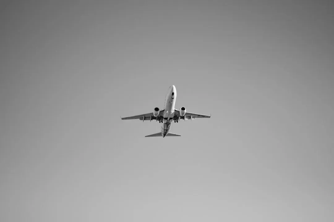 The Airplane Made Smaller (Image Credits: Unsplash)