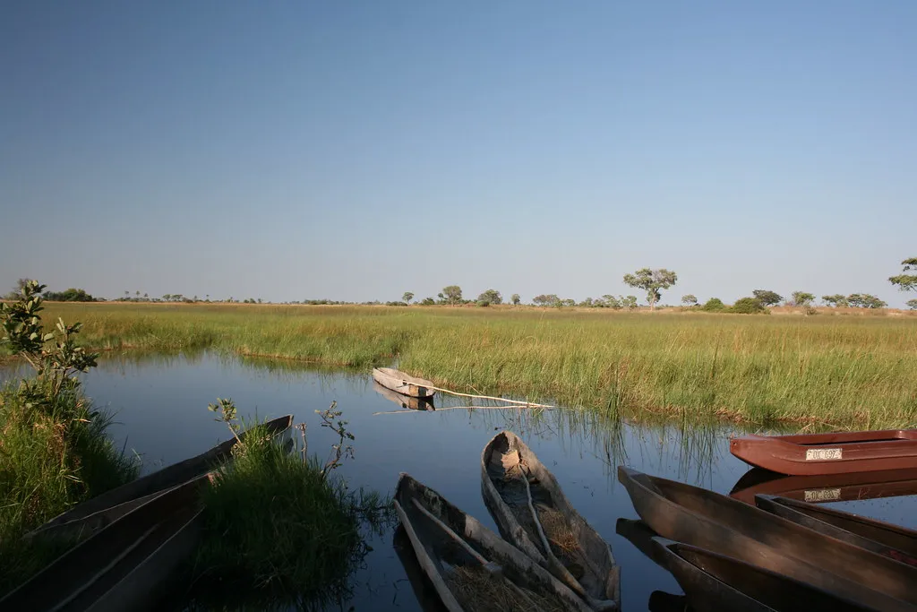 #6 – Okavango Delta, Botswana (indii.org / Lawrence Murray, Flickr, CC BY 2.0)