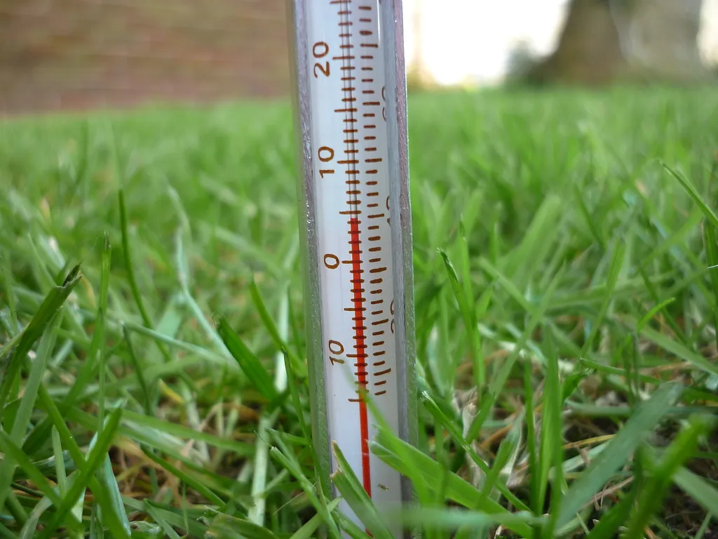 #5 - You Planted at the Wrong Time (And the Calendar App Misled You) (Kris Lord (The Lawn Man), Flickr, CC BY 2.0)