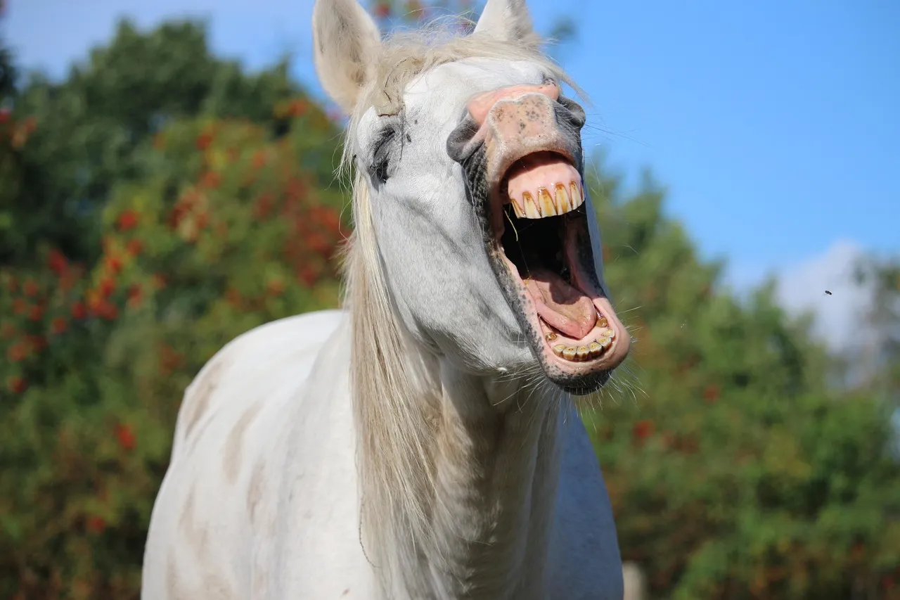 #7 - The Licking, Chewing, and Yawning Happen After Work, Not During Panic (Image Credits: Pixabay)