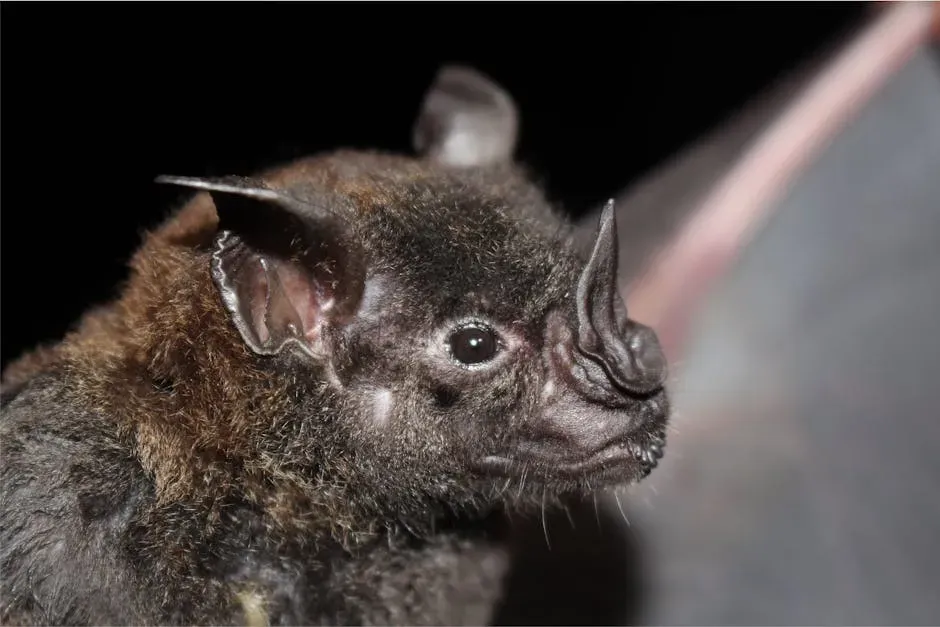 Myth 2: Bats Are Blind (Image Credits: Pexels)