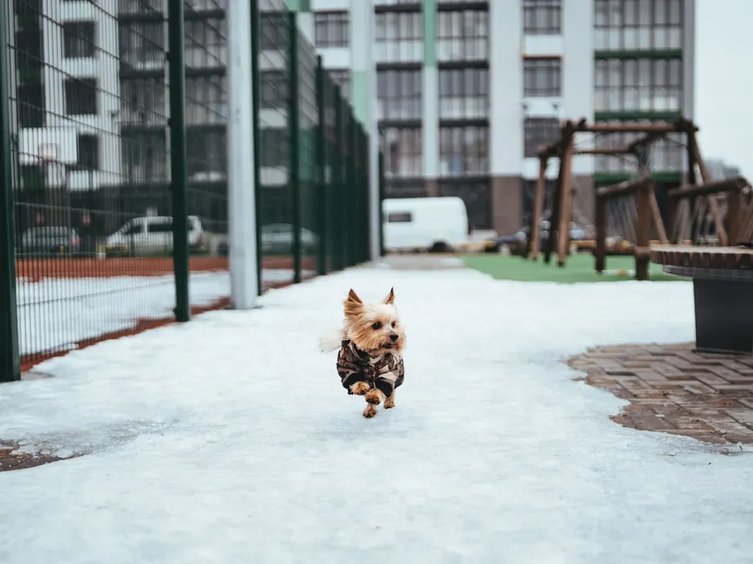 They're Escape Artists and Troublemakers (Image Credits: Unsplash)