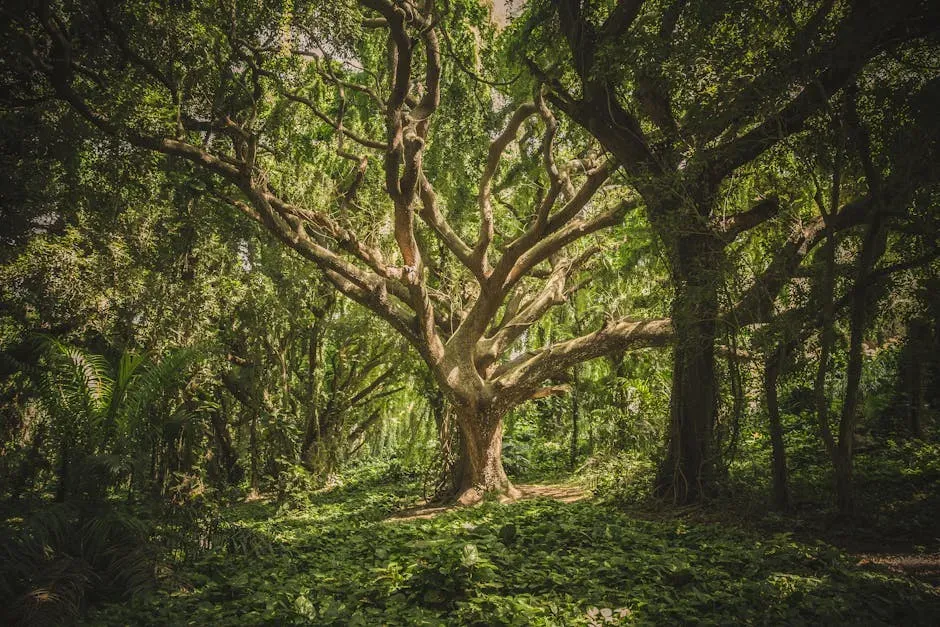 America's Ancient Giants: Where They Stand and What They Hold (Image Credits: Pexels)