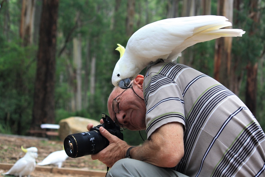 Enhanced Body Language Recognition (Image Credits: Unsplash)