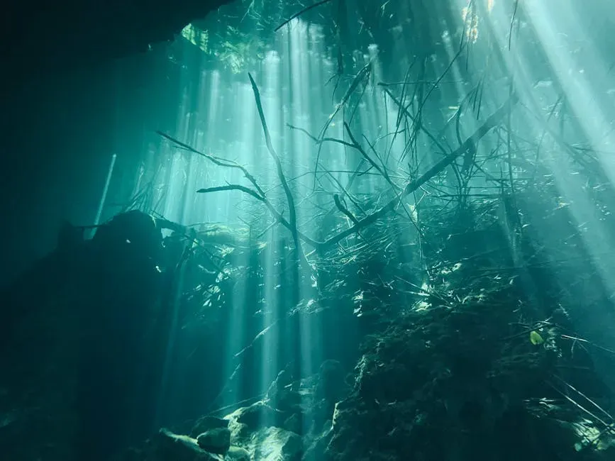 What the Forest Actually Looks Like Down There (Image Credits: Pexels)