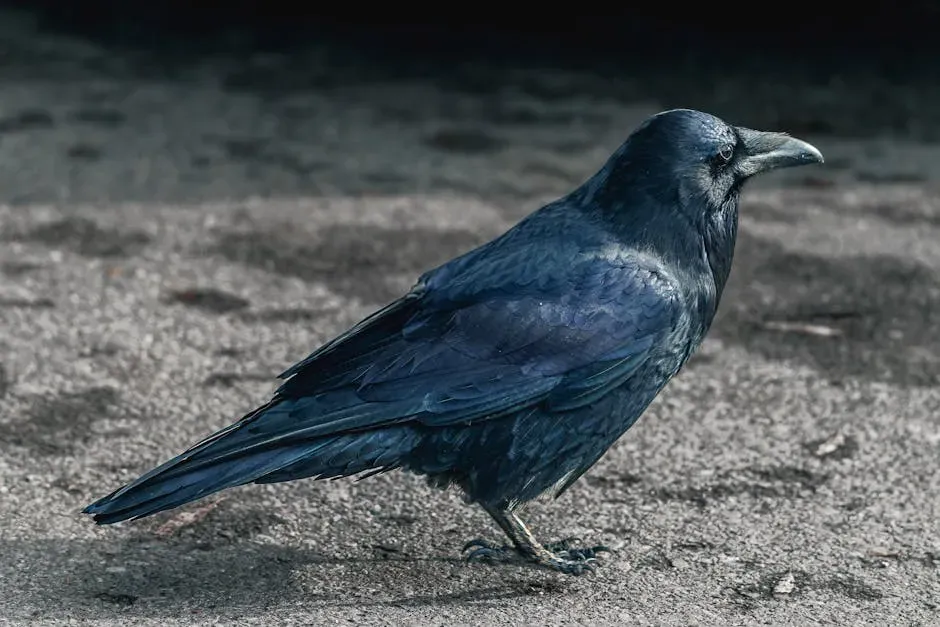 The Mind Behind the Mystery: Raven Intelligence Explained (Image Credits: Pexels)