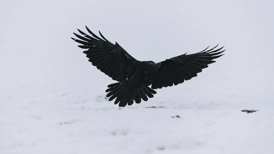 Implications for Understanding Animal Intelligence (Image Credits: Unsplash)