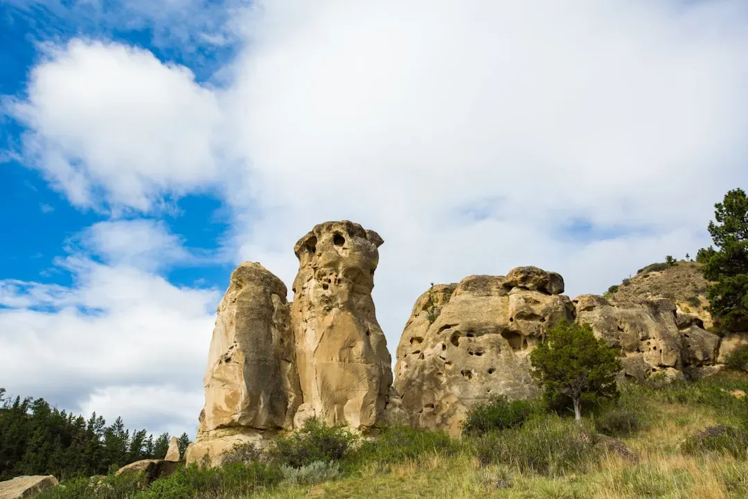 Deer Medicine Rocks, Montana (Image Credits: Unsplash)