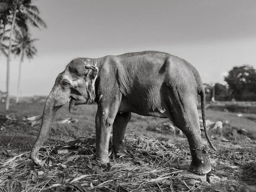 Elephants Hold Silent Vigils for Their Dead (Image Credits: Pexels)