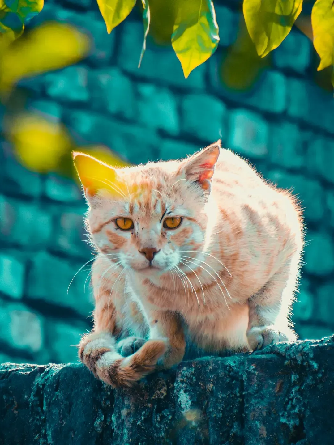 What You Can Actually Do About It (Image Credits: Unsplash)