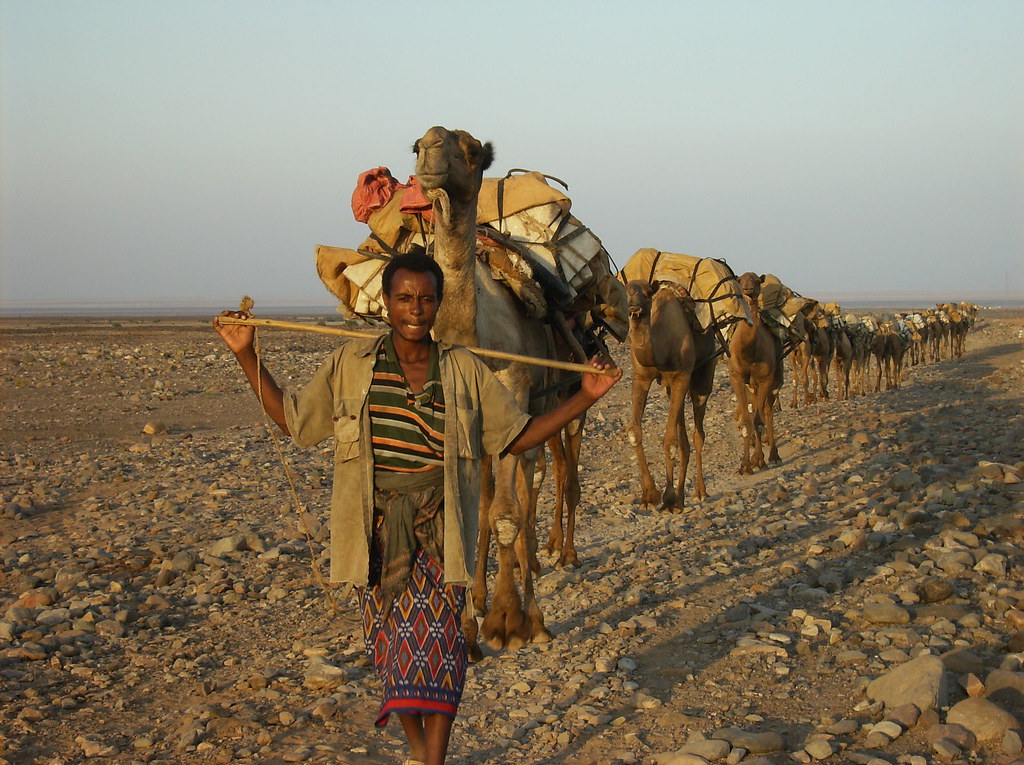 Danakil Desert, Ethiopia - Hell on Earth (Image Credits: Flickr)