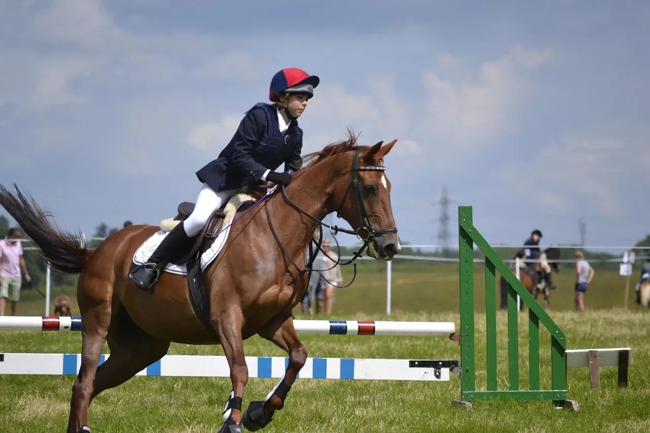 Gemini: The Versatile Thoroughbred (Image Credits: Pixabay)