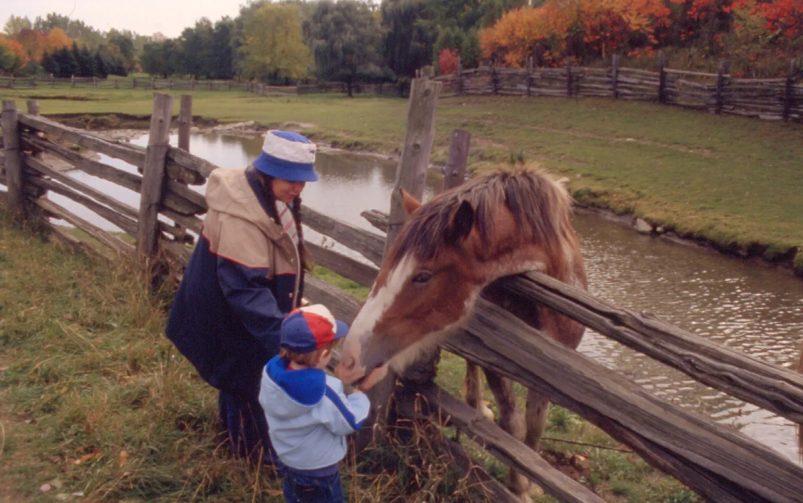 The Bottom Line (Black Creek 19, CC BY 2.0)