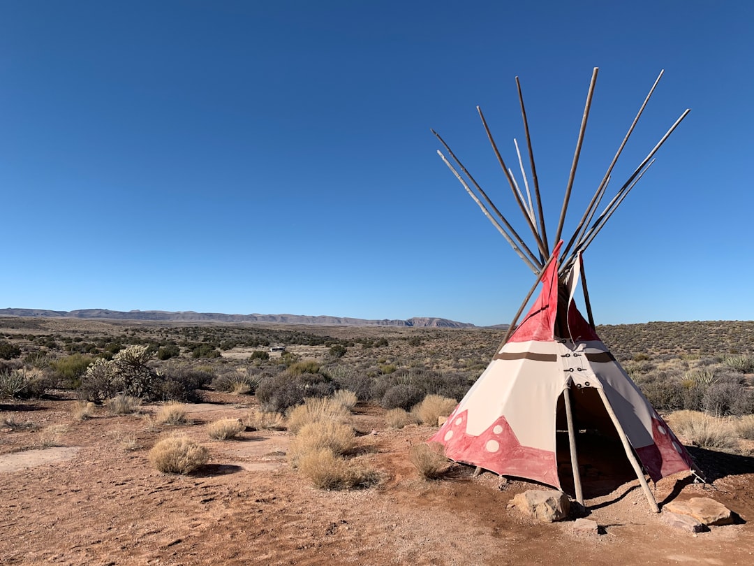 They Were Masters of Desert Survival (Image Credits: Unsplash)