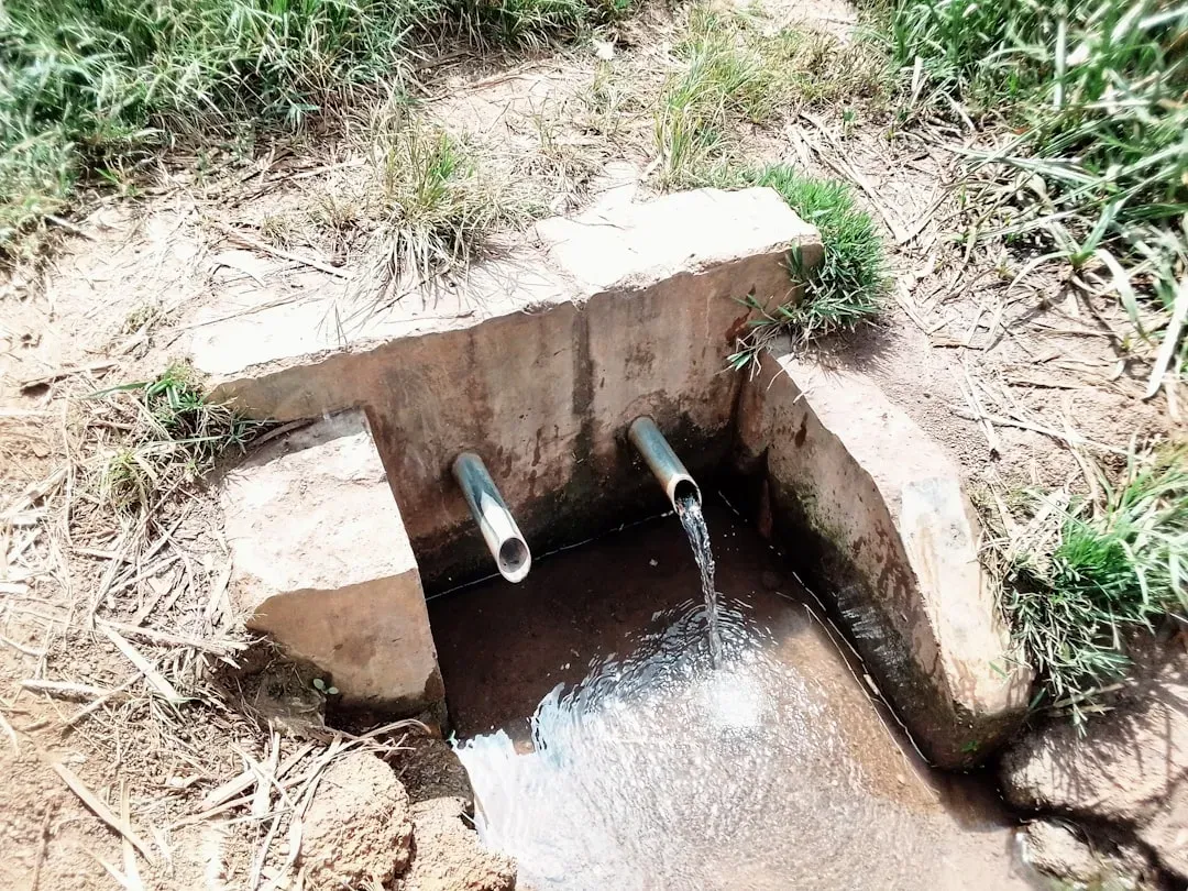 Water Trickling from an Underground Pipe (Image Credits: Unsplash)