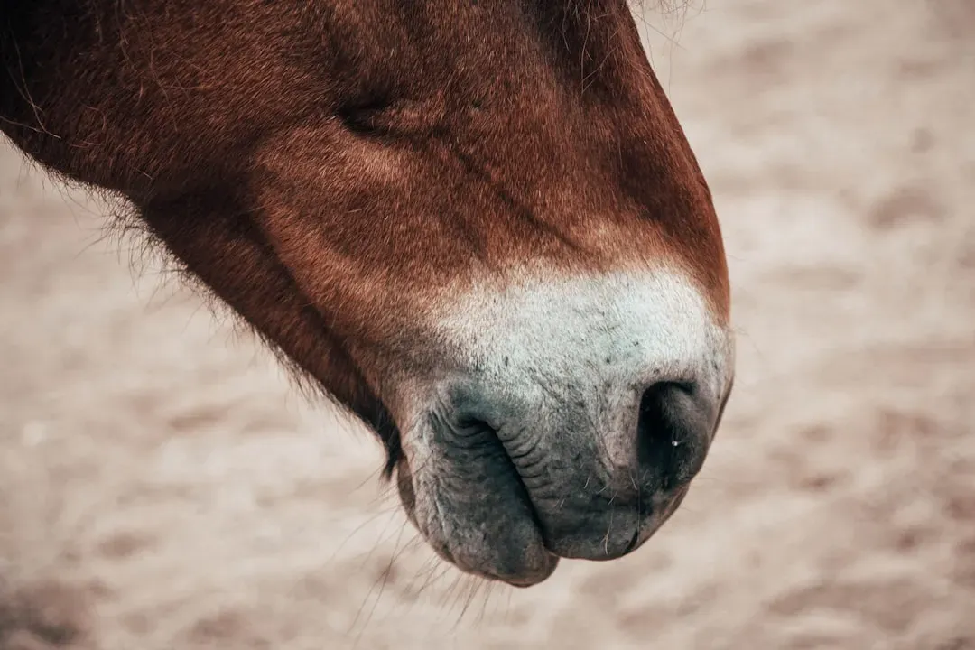 They Produce About Ten Gallons of Saliva Daily (Image Credits: Unsplash)