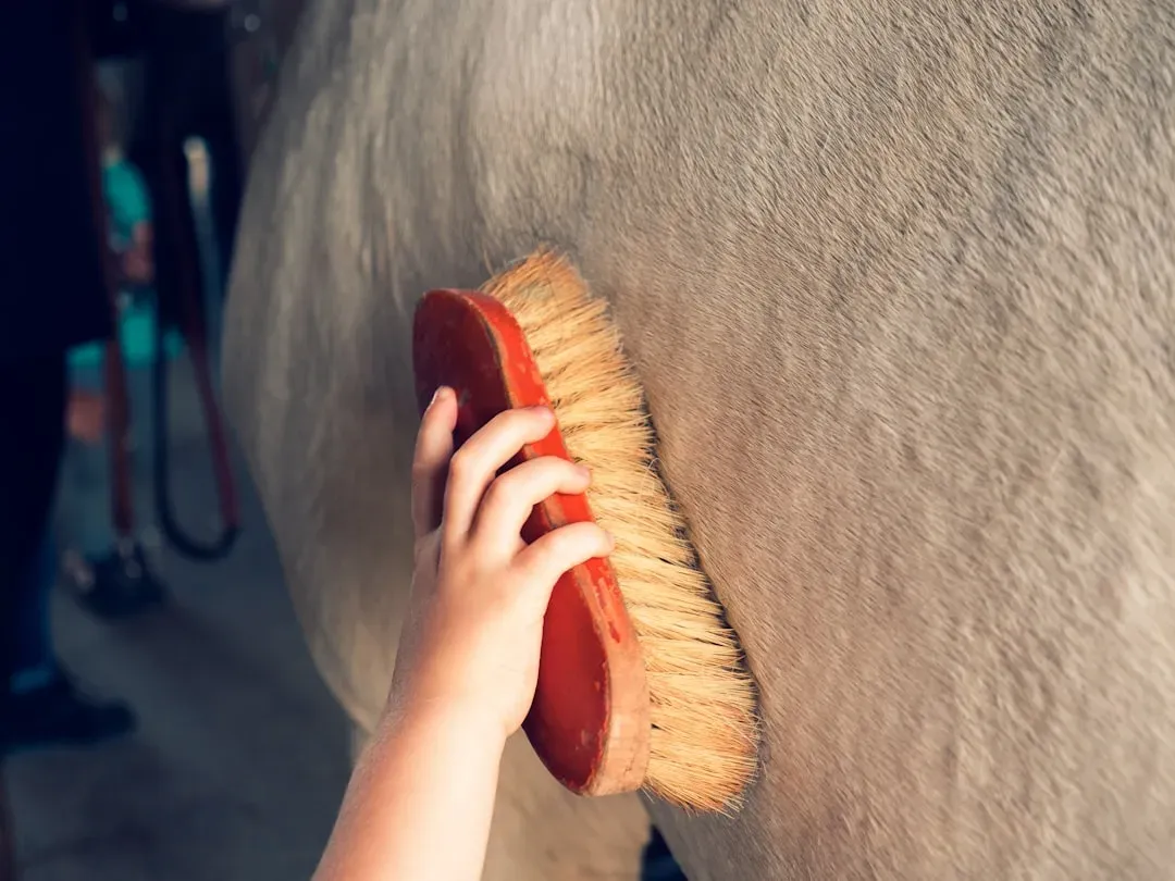 Checking Your Tack And Equipment Every Single Time (Image Credits: Unsplash)