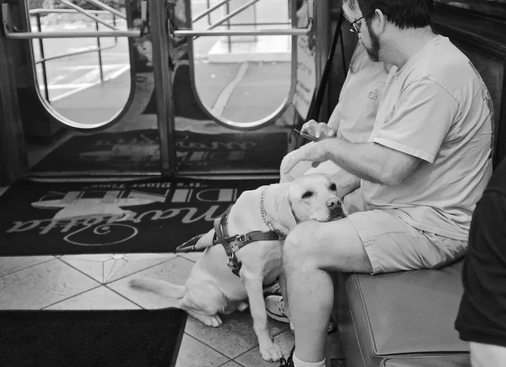 Delivering Unconditional Companionship (Image Credits: Flickr)