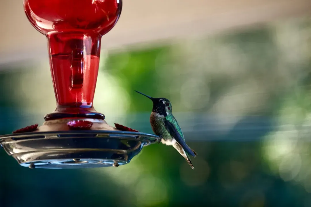 Adding Red Dye to the Nectar (Image Credits: Unsplash)