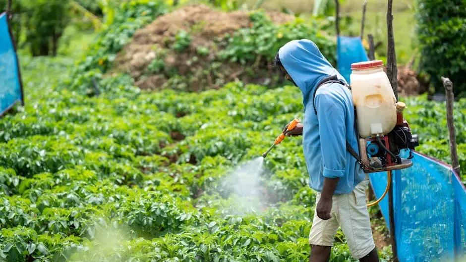 Why Pesticides Are Working Against You (Image Credits: Pexels)