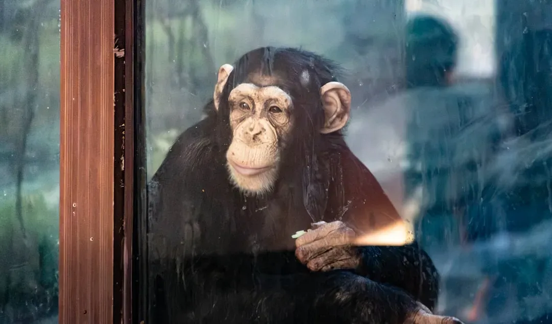 Conclusion: Nature's Quiet Geniuses Are All Around Us (Image Credits: Unsplash)