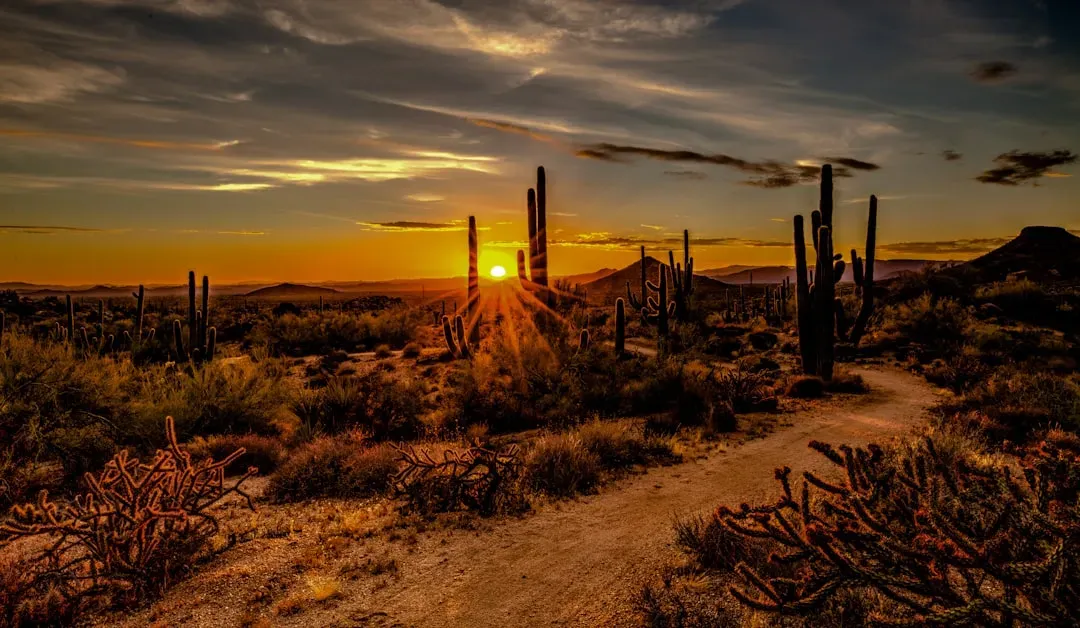 Arizona: Where the Desert Sky Comes Alive (Image Credits: Unsplash)