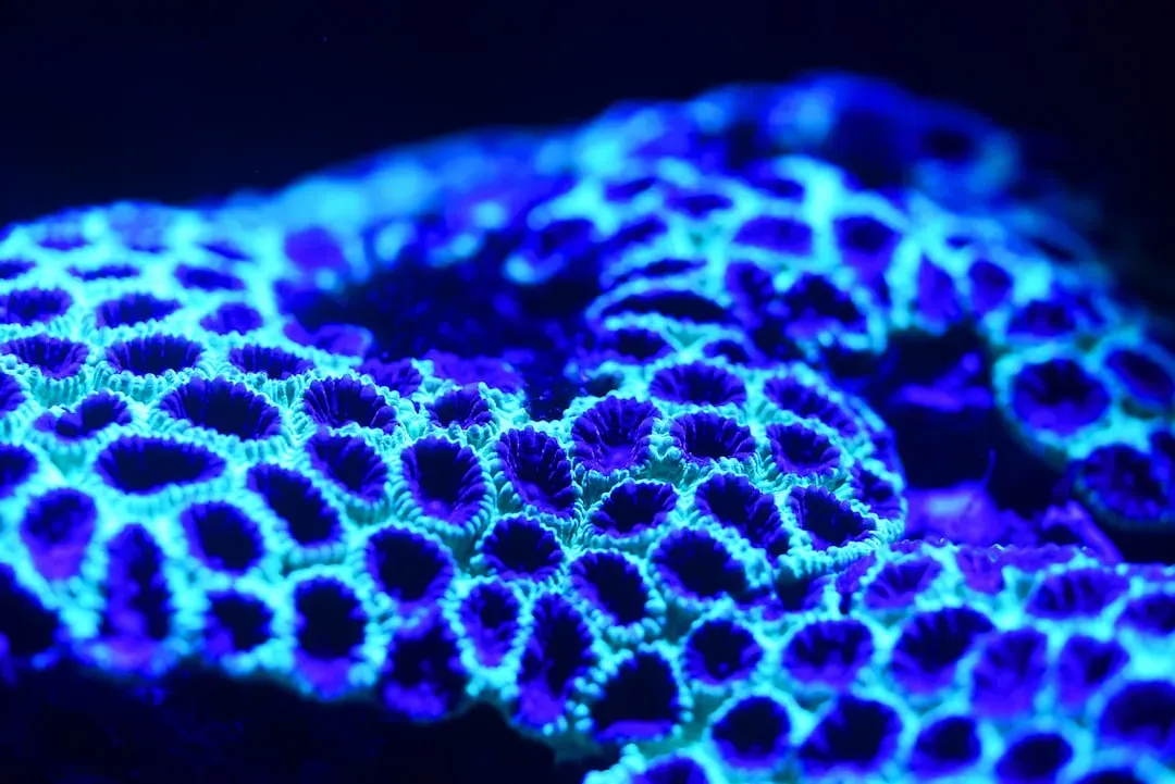 7. Bioluminescence Lights Up the Darkness (Image Credits: Unsplash)