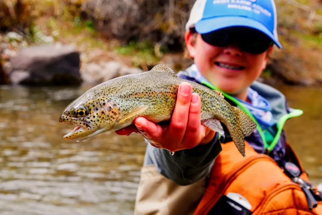 4. Upper Delaware River, New York and Pennsylvania: Wild Trout on the Border (Image Credits: Unsplash)