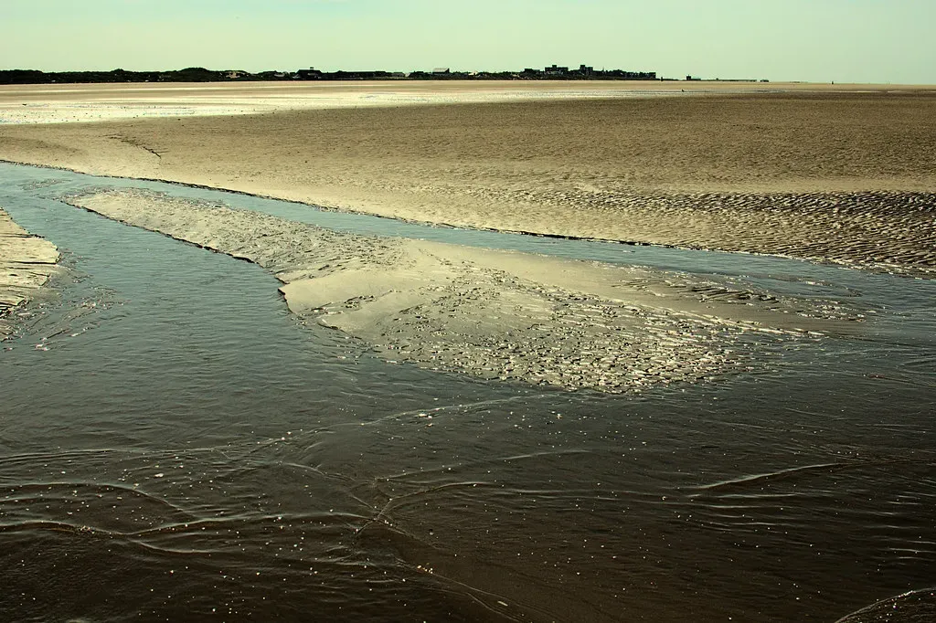 Warmer Waters, Stronger Winds: The Direct Connection (Image Credits: Flickr)