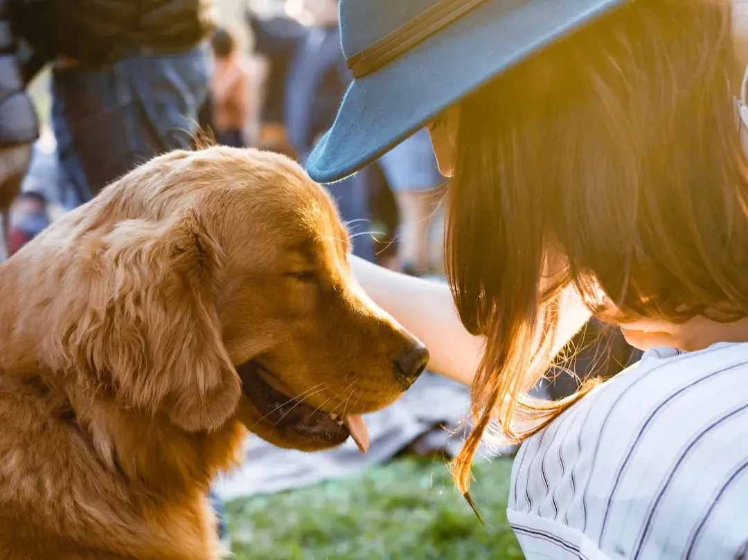 Therapy and Service Animals: Partnership on a Different Level (Image Credits: Unsplash)