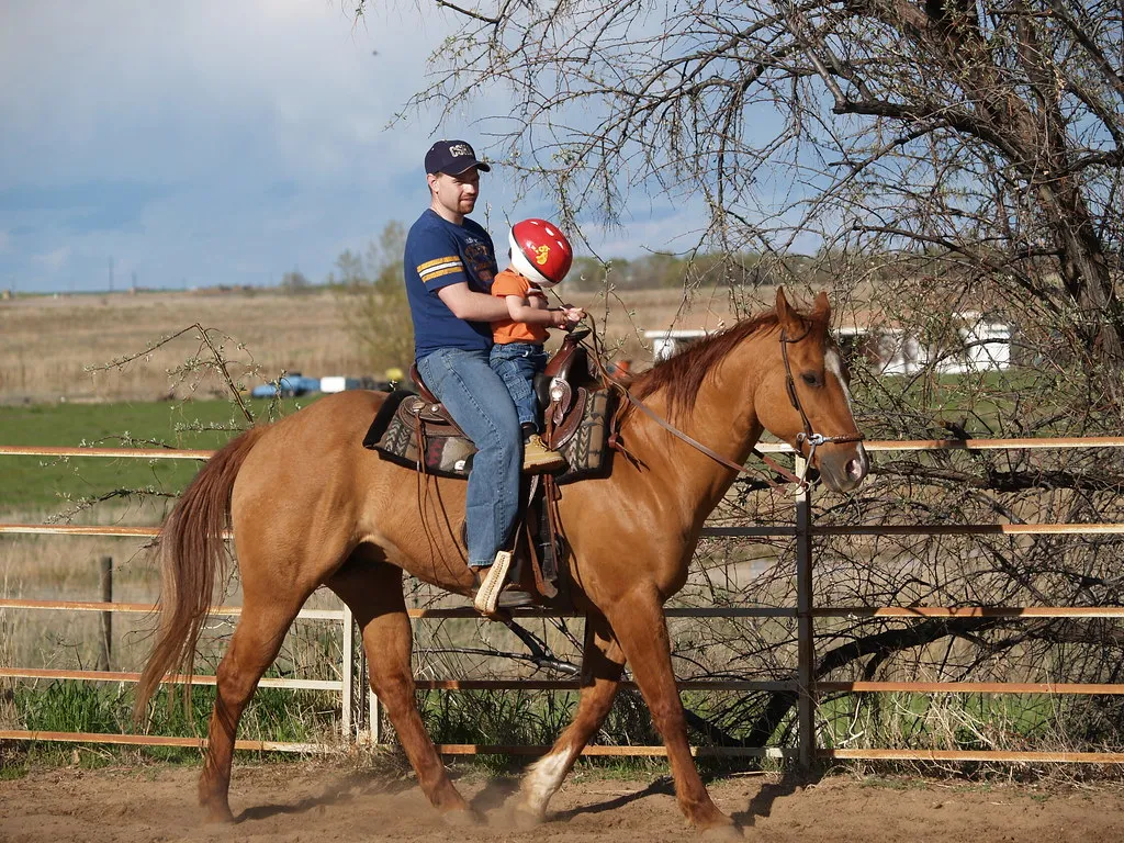 #9 - They Quietly Guard Your Space From Other Horses (lostinfog, Flickr, CC BY-SA 2.0)
